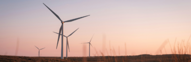 wind-turbines-in-field