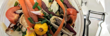 Food in waste container
